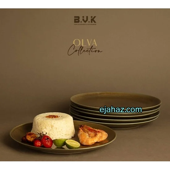 بشقاب سرامیکی پلوخوری استون ور بی وی کی سبز زیتونی گرانیتی 6 عددی