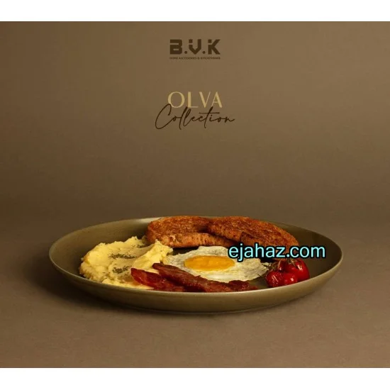 دیس سرامیکی استون ور بی وی کی سبز زیتونی گرانیتی 1 عددی