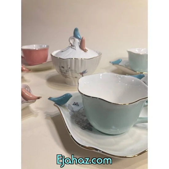 فنجان بی وی کی لاولی برد
